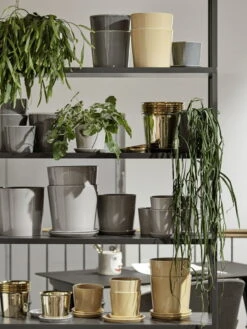 HAY Pot Et Soucoupe Botanical Family, M, Gris Clair -Hay Botanical Family New Order shelving system2C charcoal HAY Aarhus