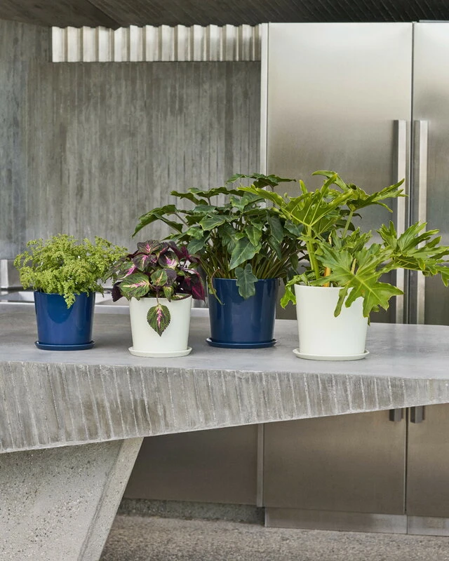 HAY Botanical Family Blumentopf Mit Untersetzer, M, Bleu Foncé – Image 3