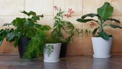 HAY Pot De Fleurs Et Soucoupe, XXL, Gris -Hay Flowerpot XXL XXXL