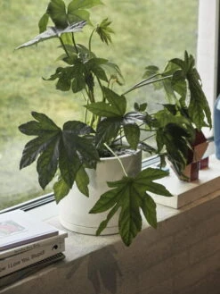 HAY Plant Pot Avec Soucoupe, Modèle XXL, Blanc -Hay Plant Pot with Saucer off white