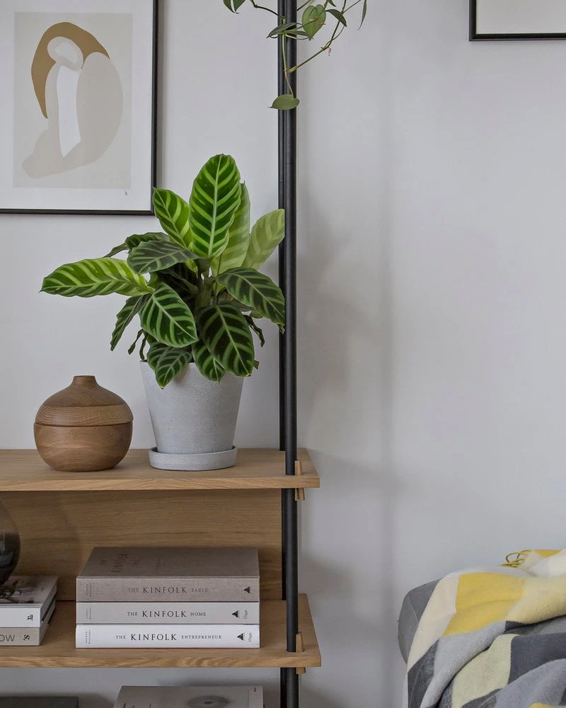 HAY Pot De Fleurs Et Soucoupe, M, Gris 3 HAY Pot De Fleurs Et Soucoupe, M, Gris – Image 3